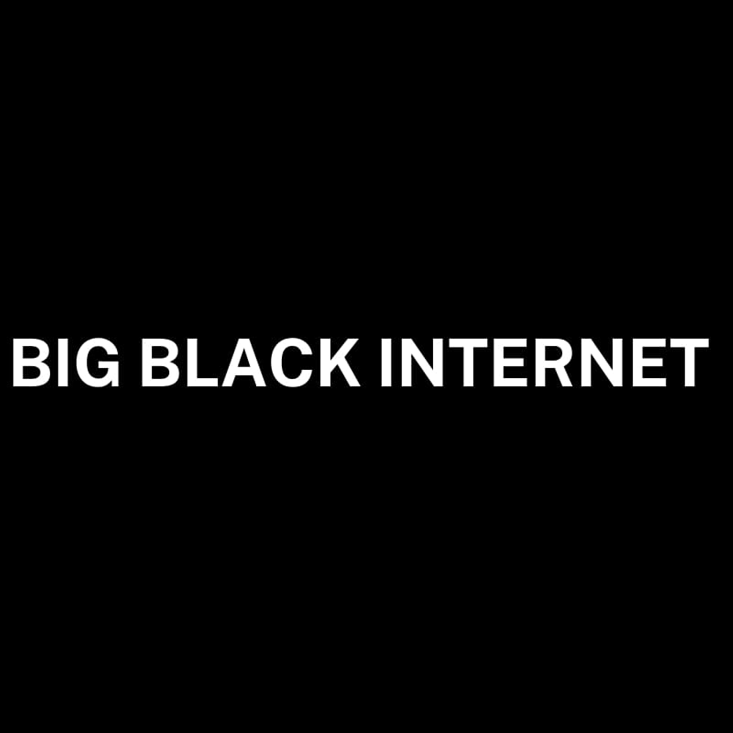 BigBlackNet